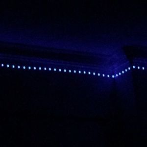 Meet your Posher, Carol